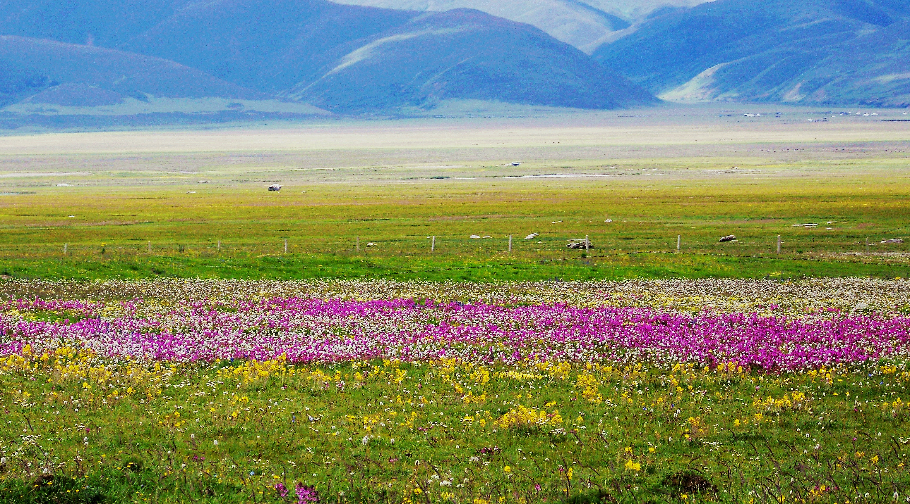 （一）我的藏地明码：九年前烂路相伴的G318；15天川进青出甘南回