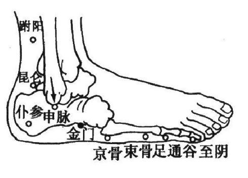 膀胱经十二正经各自的作用,内经十二经脉揭秘及应用的书