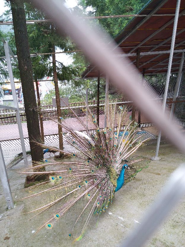 贵州赤水天鹅堡避暑山庄,贵州赤水千岛湖避暑