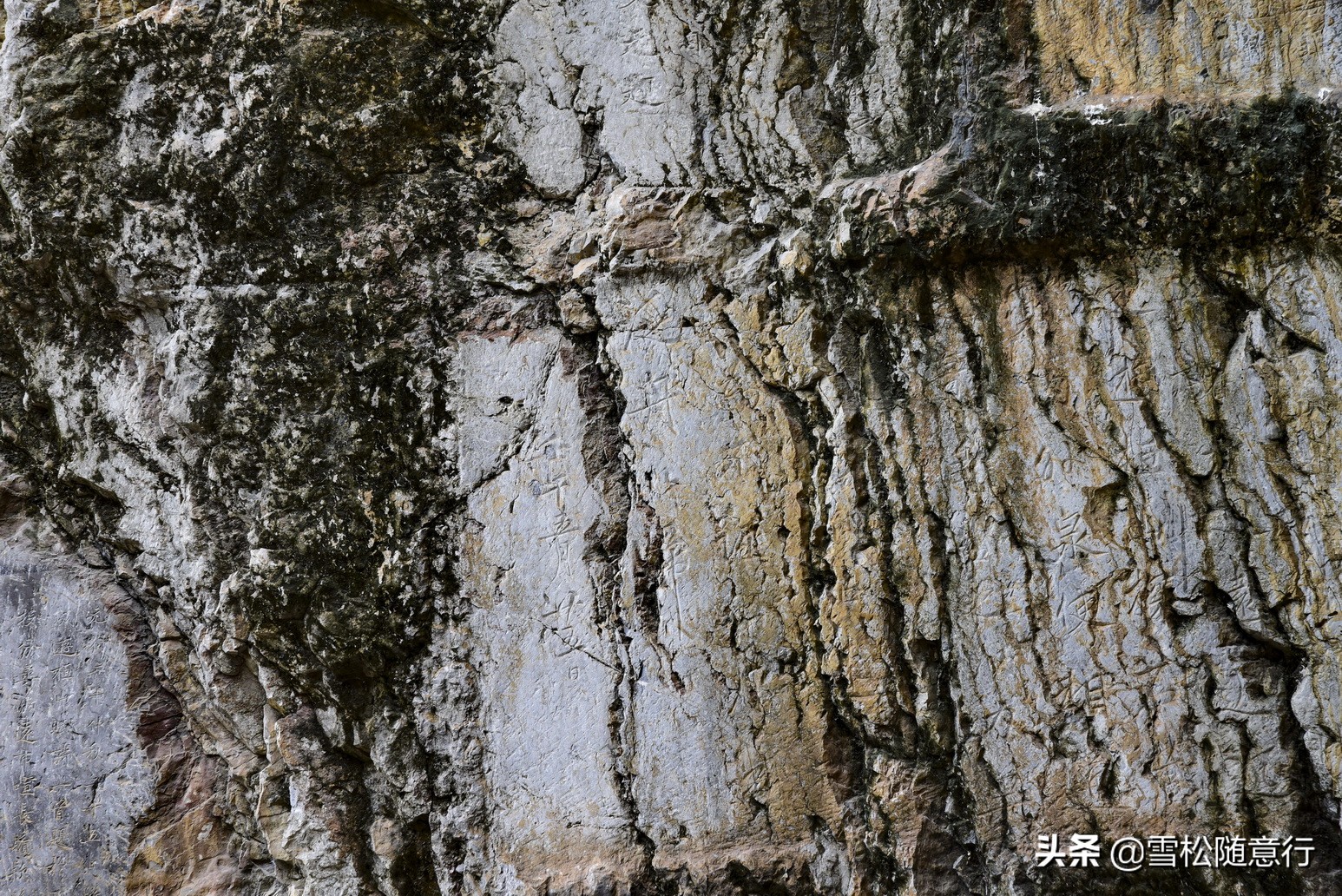 琛岃蛋鍦ㄤ含鏉ぇ杩愭渤,寰愬窞澶ц繍娌宠寘鏉戞