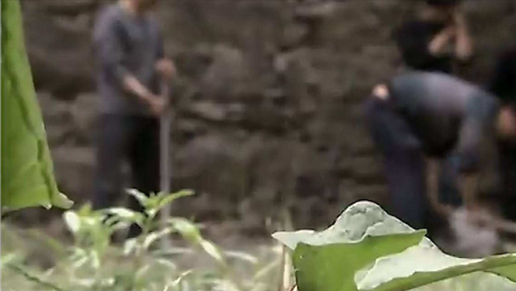 老汉做梦挖到鱼泉后续,重庆一老汉做了个梦挖出鱼泉