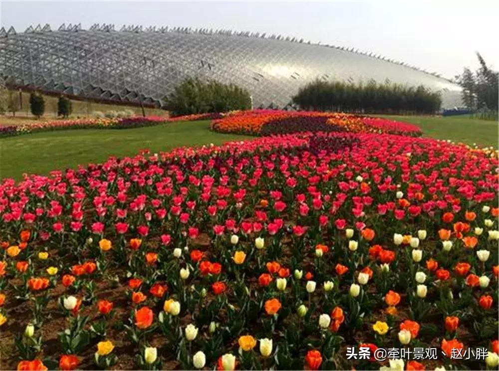 踏春寻美景,踏春赏花梯田漫步