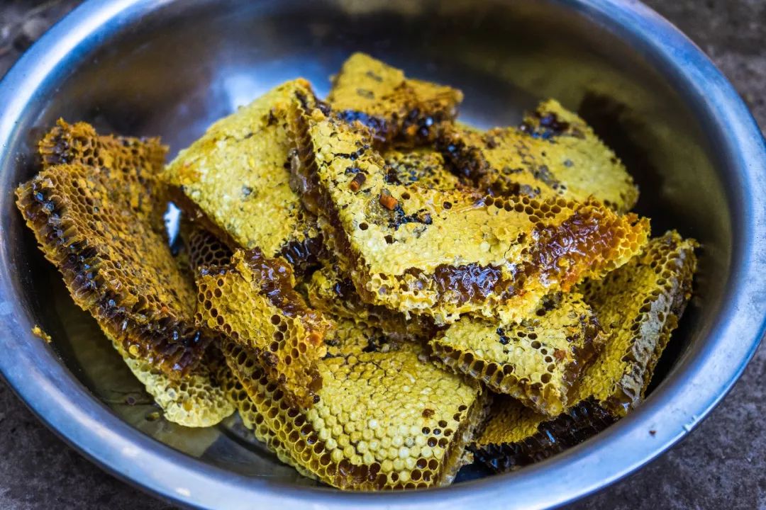 土蜂蜜的取蜜全过程,土蜂蜜取蜜全过程记录