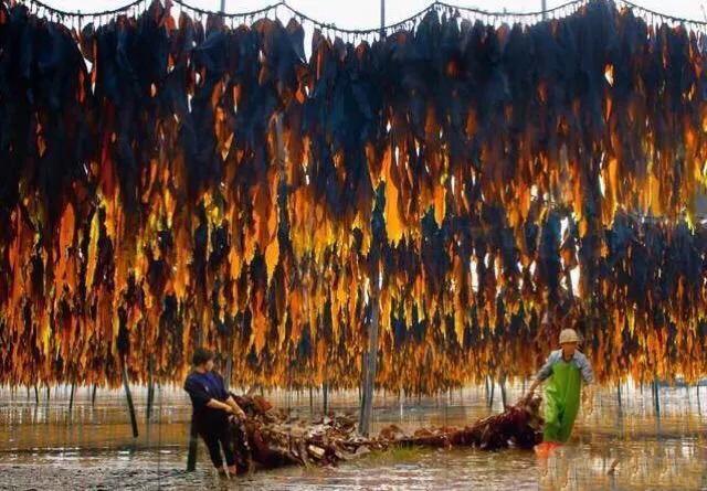 霞浦滩涂光影摄影作品,霞浦摄影风光