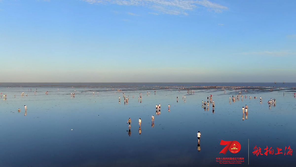 超燃大片！航拍上海24小时，16区混剪版亮出魔都的“精气神”【可爱的中国，奋进的上海】