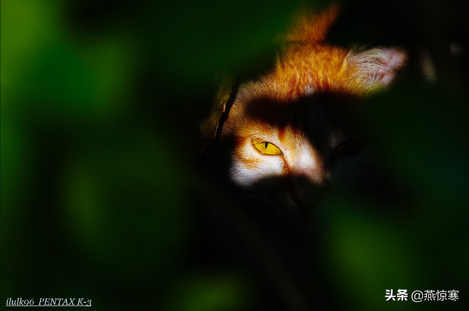 宾得理光镜头通用吗,宾得理光手动镜头推荐