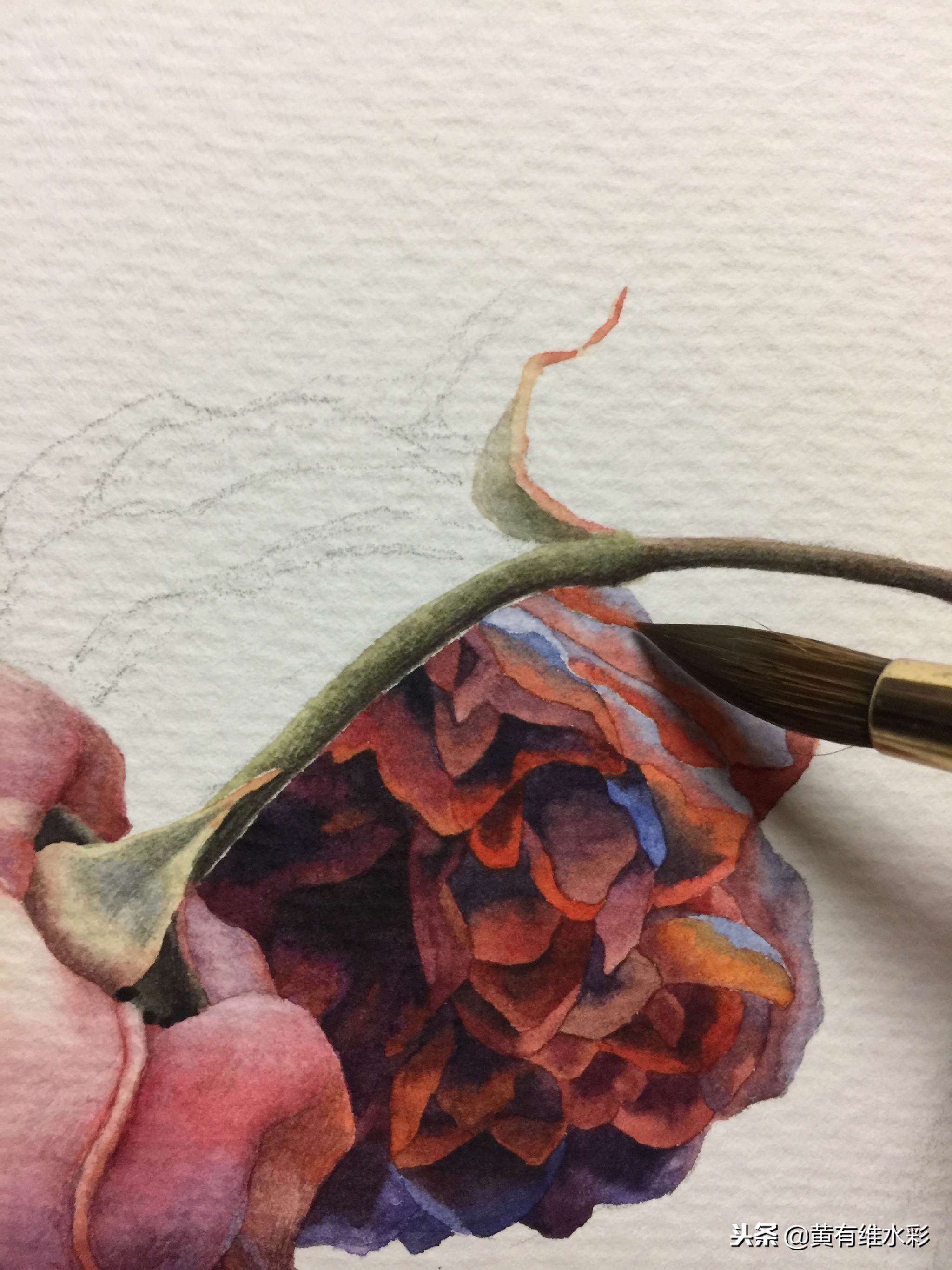 水彩教程简单好看手绘图片,水彩教程画花