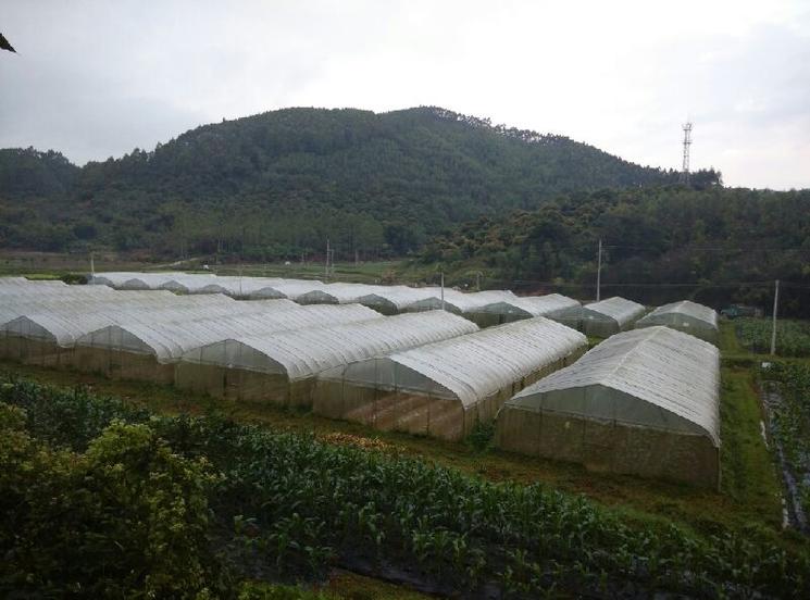 1000亩地怎样打造一个生态农场,300亩农场建设视频