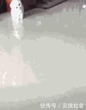 猫咪歪着脖子的原因,猫咪脖子有点歪怎么办