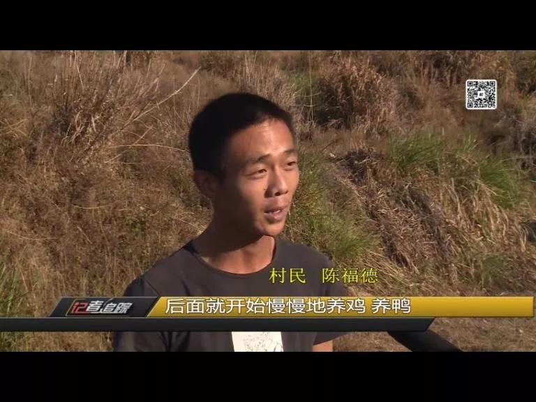 苏坂镇：两年达村级脱贫，驻村书记陈克明把初心写在岭兜的土地上