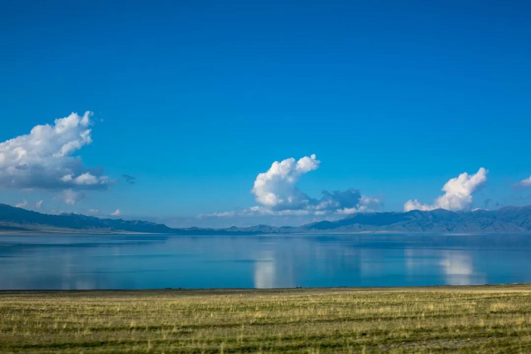 12篇微小说短到极致却催人泪下,十二篇微小说完整版