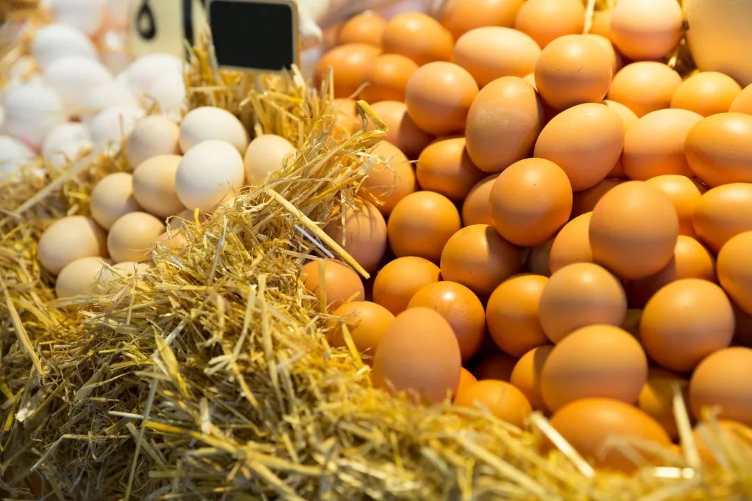 草鸡蛋土鸡蛋鲜鸡蛋有什么区别,白鸡蛋红鸡蛋土鸡蛋的区别