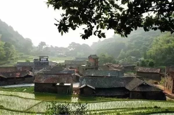 浙江杭州西湖富春江新安江千岛湖,新安江富春江千岛湖自驾游路线