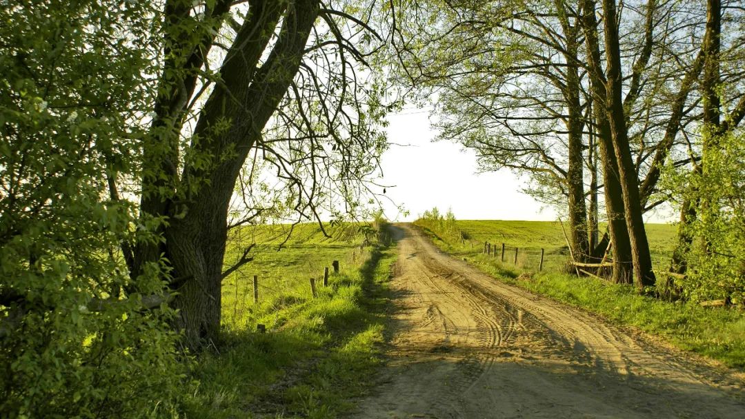 谷歌Gmail可以用中国手机号申请吗,谷歌gmail邮箱实用攻略