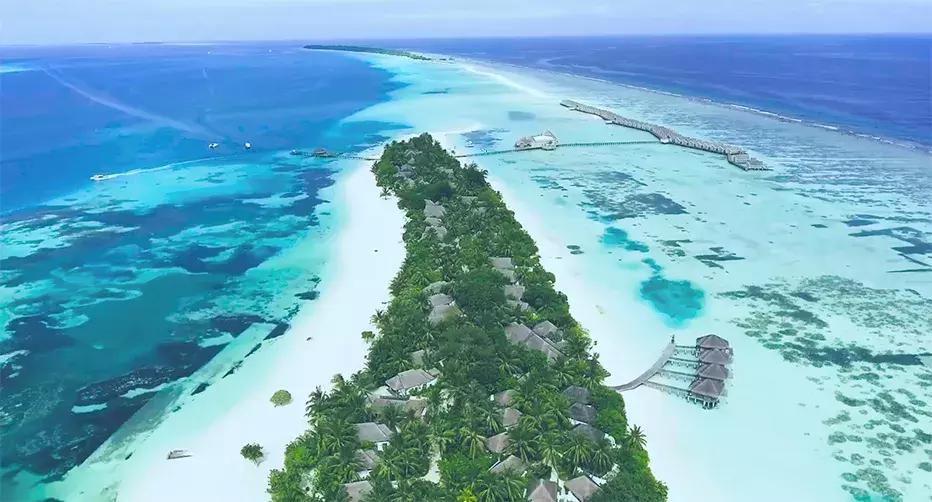 白本护照出境法国旅游免签吗,白本护照旅游去哪个国家比较好