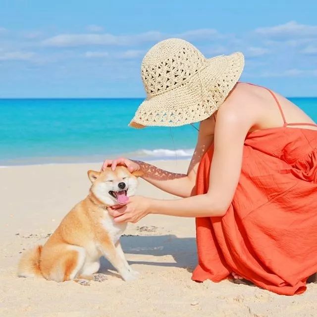 比人还会拍照的狗，简直萌炸朋友圈了