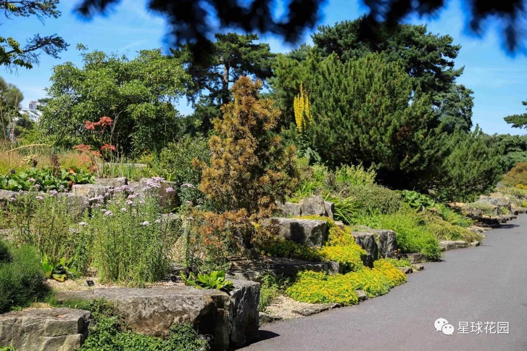 二木带你游花园|邱园（kewgarden）离我们到底有多远？