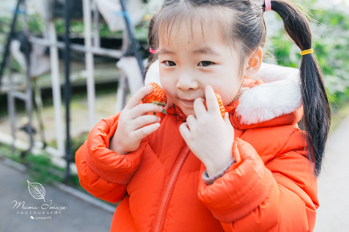 几百亩草莓采摘基地，无销售，不够卖，老板：绿色天然无公害
