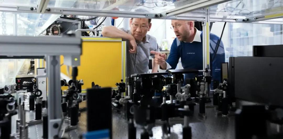 公司怎么处理婚外情的员工,公司员工搞婚外情怎么处理