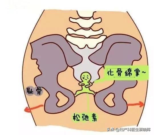 孕期什么时候开始骨头疼,孕妇肚子上面骨头疼是什么原因