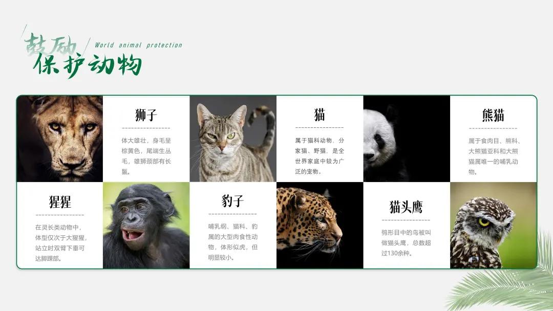 ppt排版设计技巧ppt制作培训教程,ppt多图经典案例排版