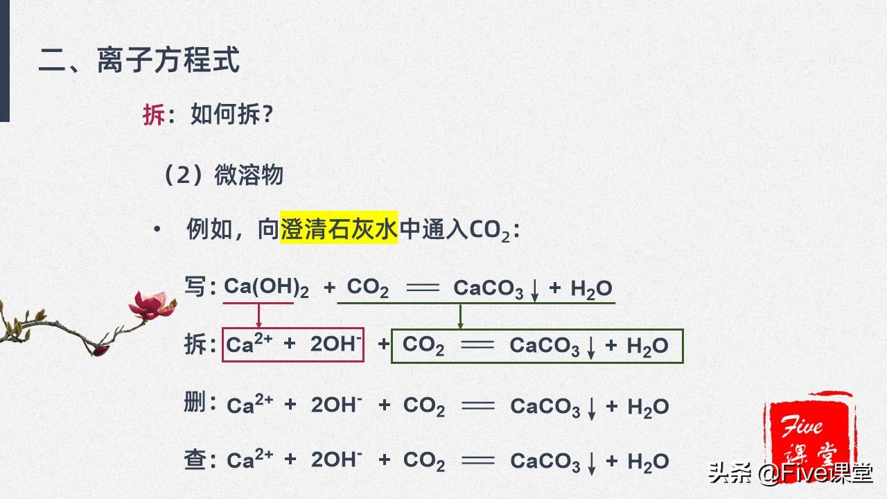 高中化学易错点之离子方程式,高中化学必记离子反应