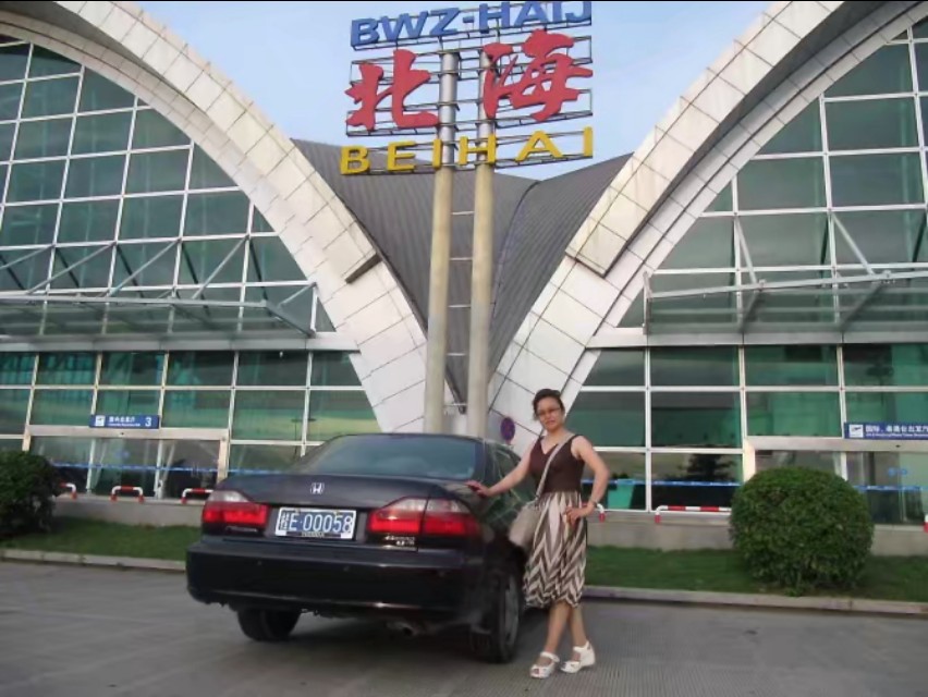 广西北海市候鸟栖息地,广西北海候鸟过冬视频