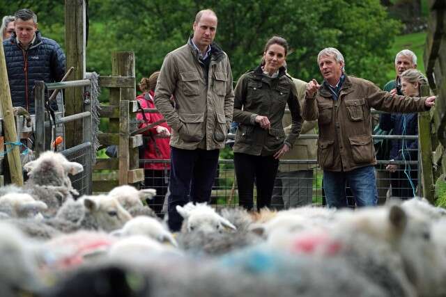 威廉王子米德尔顿,威廉王子的宠物