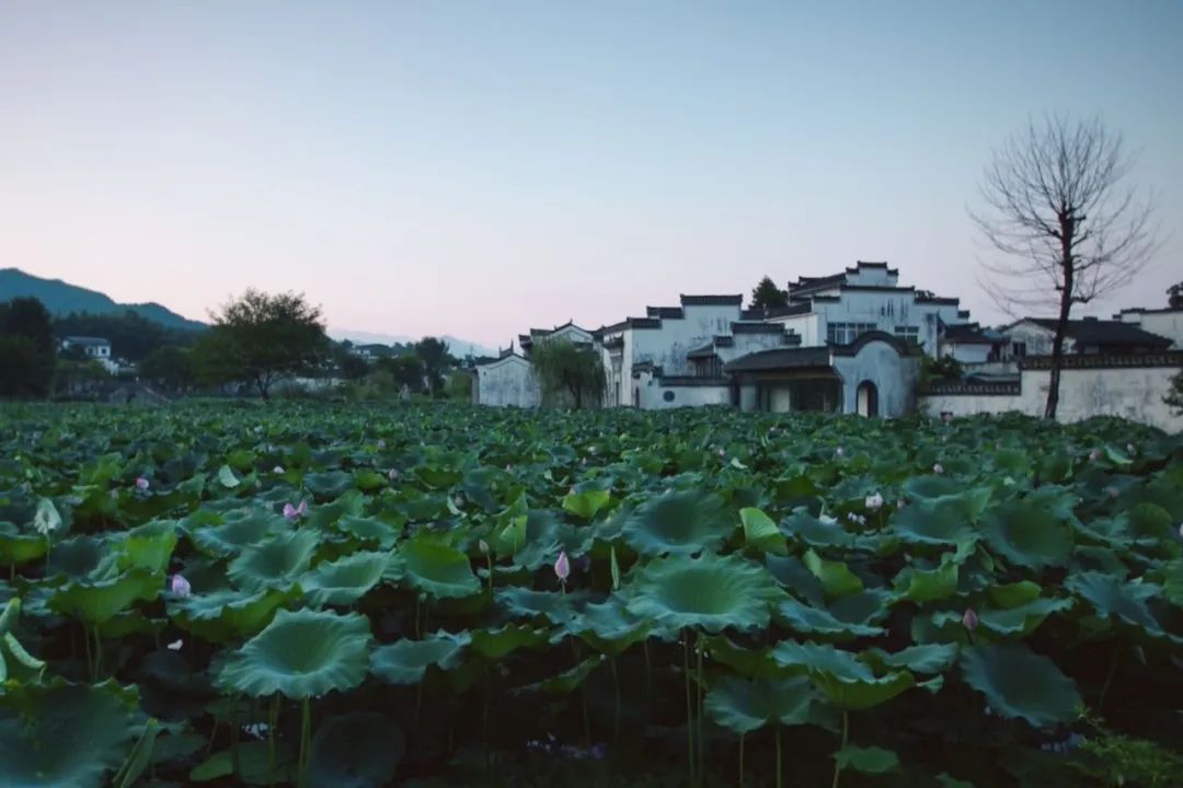 疫情结束房子会降价吗,疫情结束后又发生了什么事