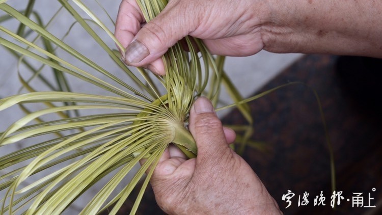 大蒲扇老式芭蕉扇手工扇子,手编老式扇子蒲扇