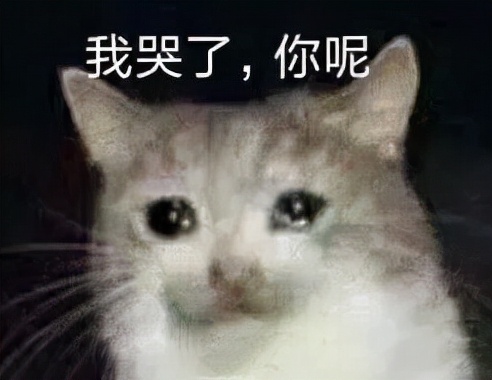 微信wechat分家,微信wechat国际版