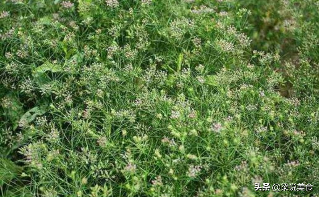 去膻味烤肉串,烤肉串就是非常香又好吃