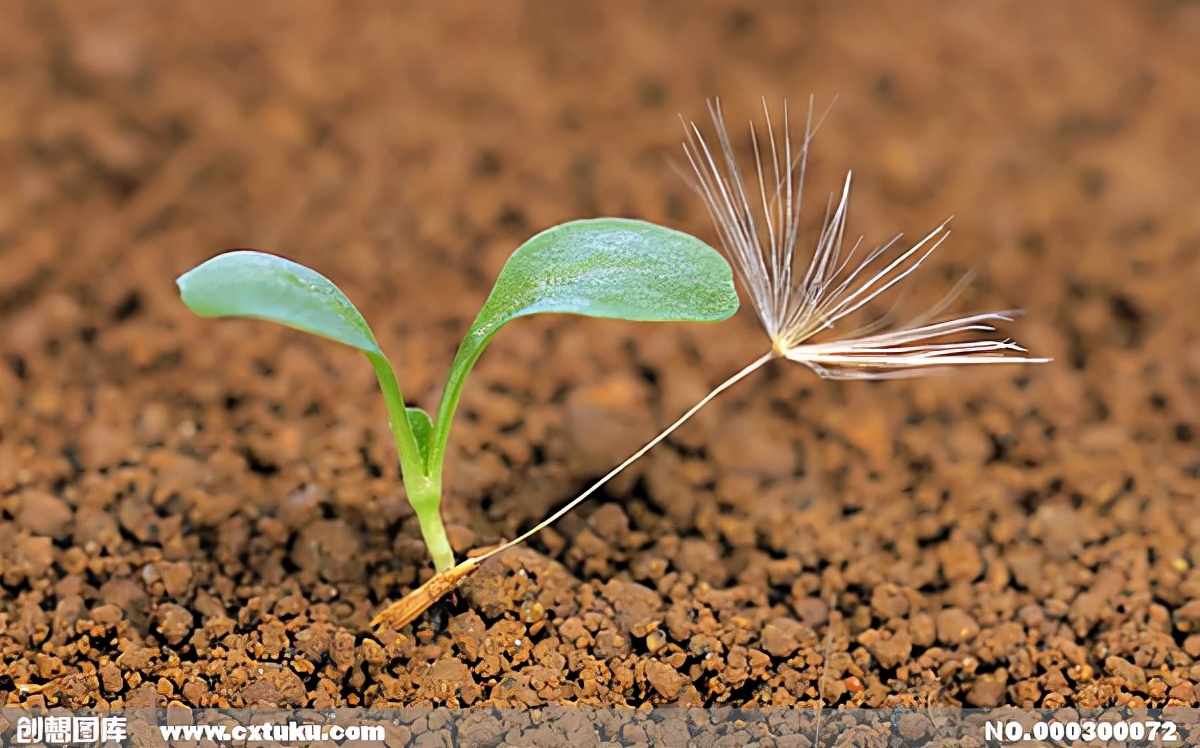 申请水滴筹能筹到钱吗,轻松筹和水滴筹哪个筹钱多