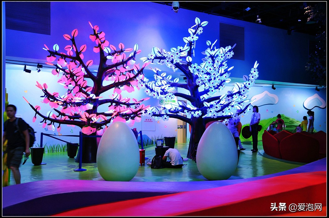 上海天文馆和科技馆哪个更值得去,上海自然博物馆和科技馆哪个好玩