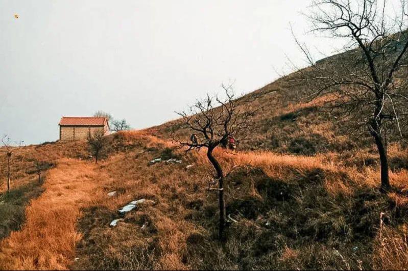 保定市涞水县石亭镇满金峪村,满金峪柿子沟