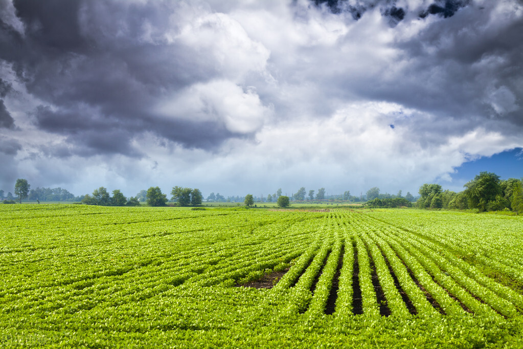中亚与阿富汗,阿富汗战略位置有多重要
