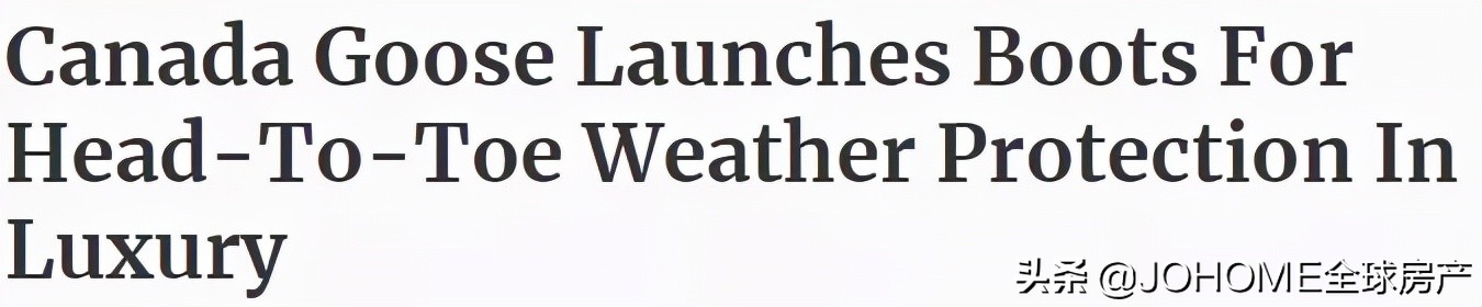 加拿大鹅鞋子最贵多少钱 (加拿大鹅旗舰店鞋子价格)