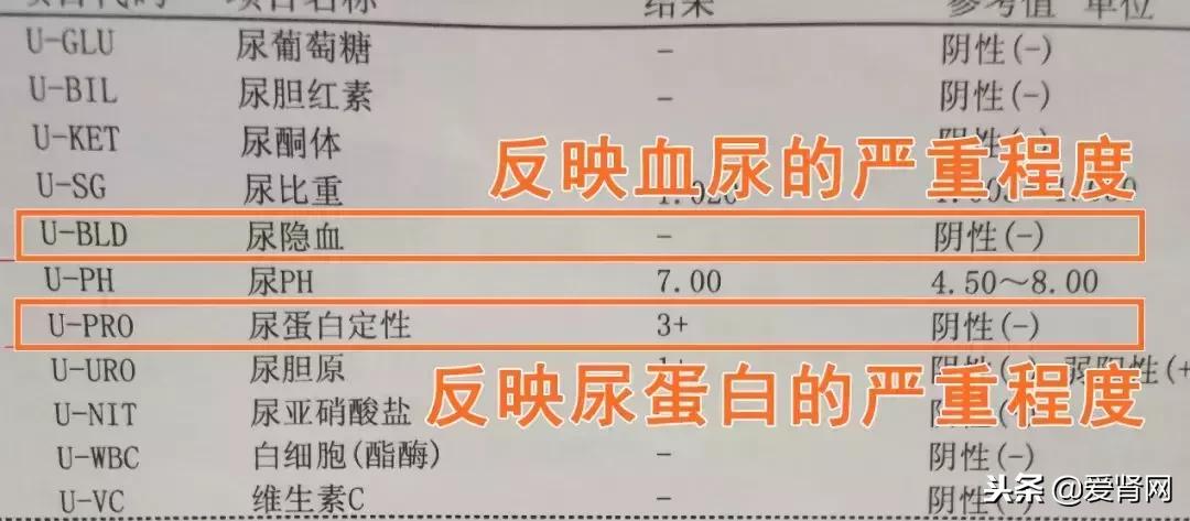 复查心里没底?简单易懂的肾内科检查解读,给每一位需要的肾友