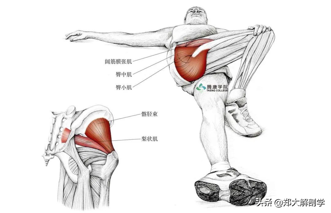 老年人蹲不下怎样锻炼,老年人蹲不下去了怎么办