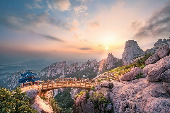 “疫”净花开，摘下口罩的那一天，我在山东等你