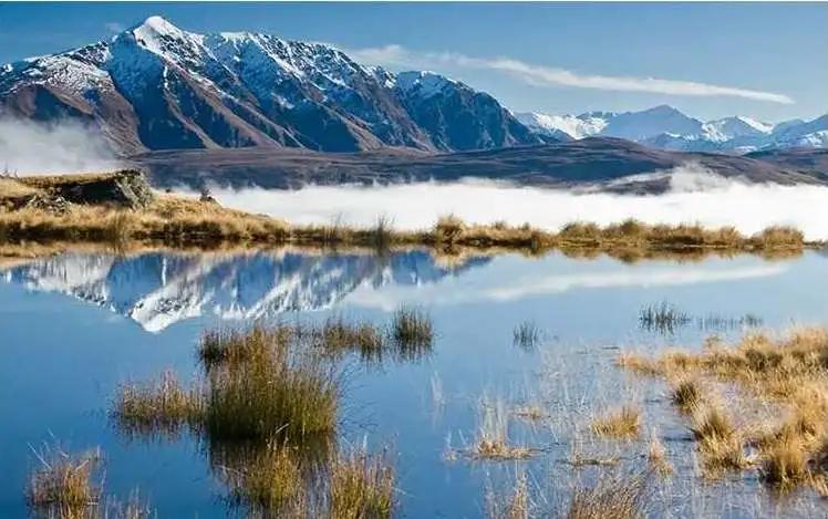 新西兰最有名三文鱼,新西兰帝王鲑三文鱼视频