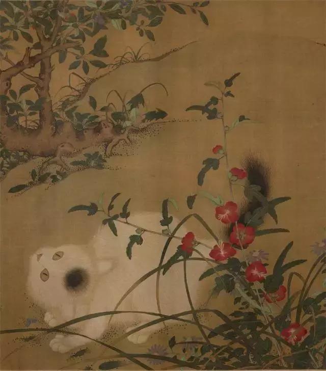 故宫十大御猫小崽儿,历史上真实的故宫御猫