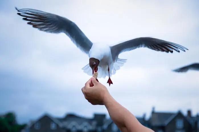 在青岛玩什么比较好,青岛该怎么玩三天两夜