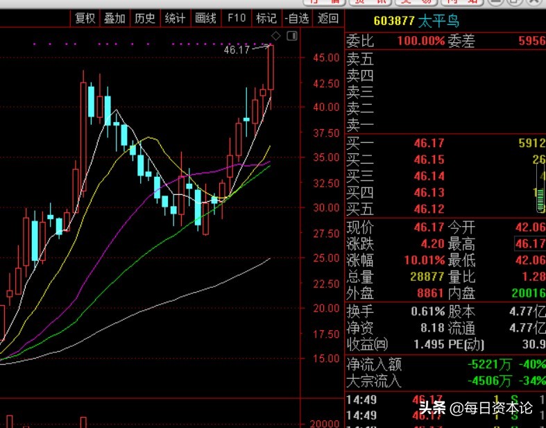 太平鸟2020利润,太平鸟一季度盈利