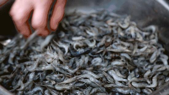 大闸蟹要公蟹的还是母蟹的好吃,现在吃大闸蟹是公的好还是母的好