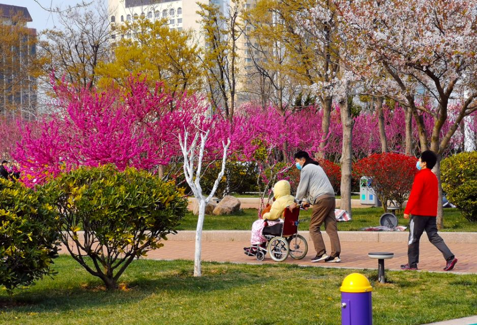 面朝大海春暖花开的背景音乐,面朝大海春暖花开歌曲