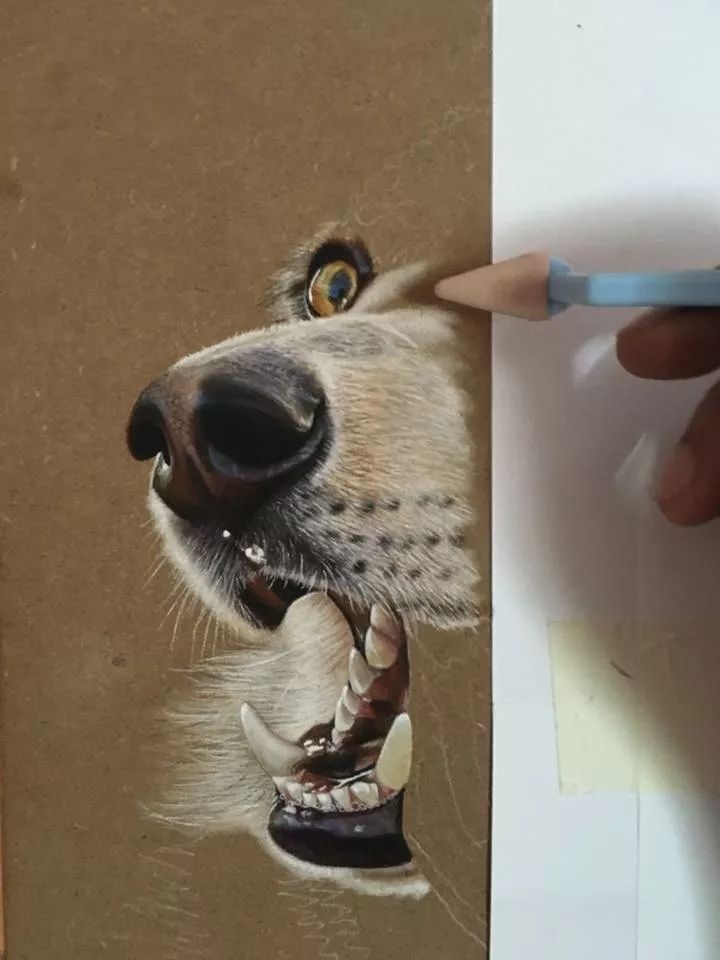 3d超写实彩铅画,超写实彩铅手绘细腻的让人咋舌