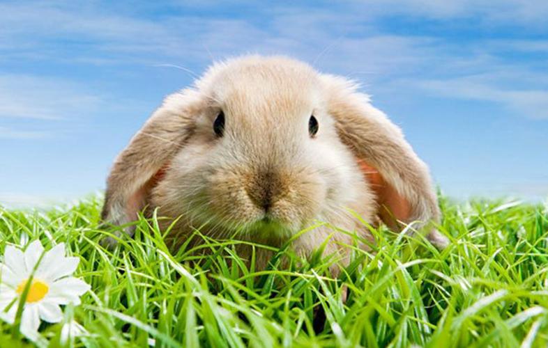 测一下你未来靠什么发财,测测你未来的发财机会