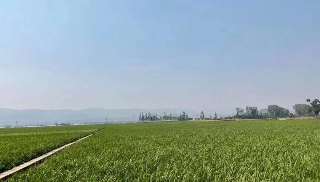 今天宜良景点哪里好玩,宜良好玩的夜景