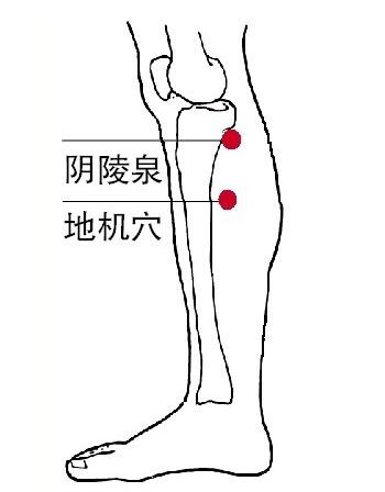 女人的慢性病,女人必须打通的一条经络